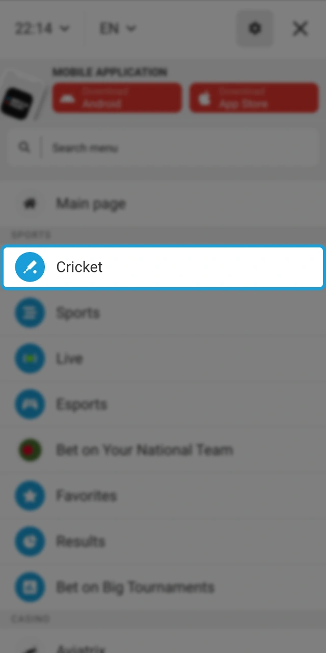 Learn how to browse cricket markets at Megapari.